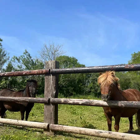 La Forge, Gite Familial,a Mere Eglise Holiday home