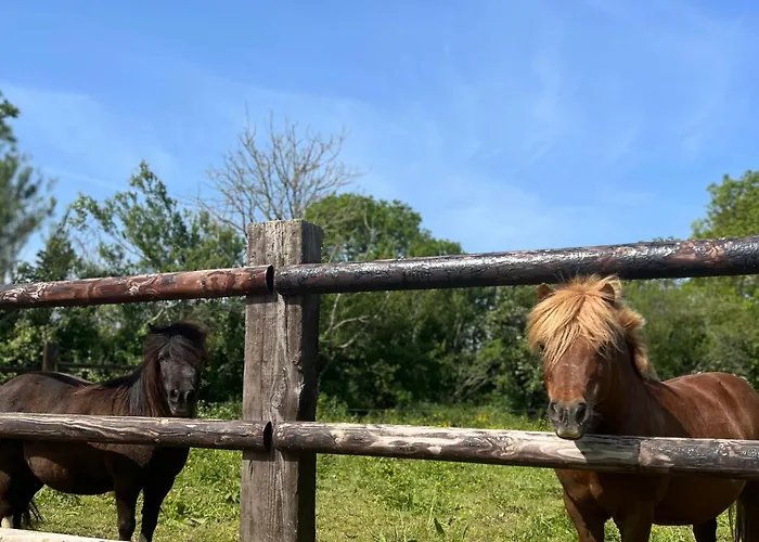 La Forge, Gite Familial,a Mere Eglise Holiday home
