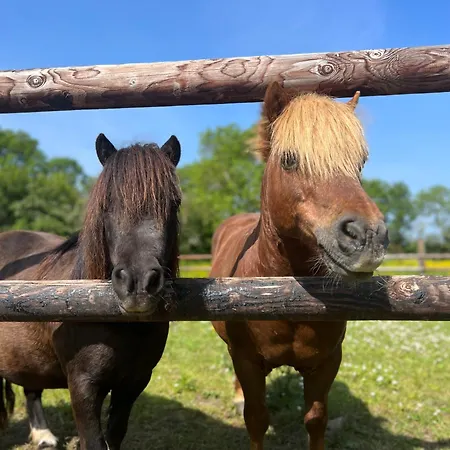 La Forge, Gite Familial,a Mere Eglise 펜션 Sainte-Mère-Église
