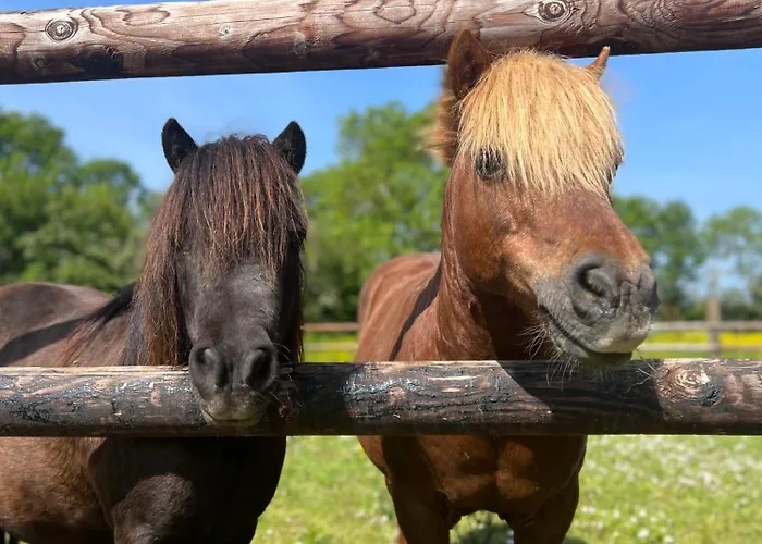 La Forge, Familial,à Mère Eglise Casa de Férias Sainte-Mère-Église